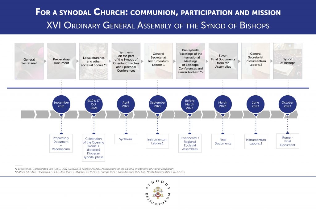 An infographic showing the timeline for the synod on synodality. / Vatican Media.
