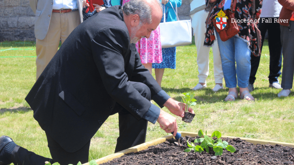 St Mary's Cathedral Fall River Community Garden Bishop da Cunha